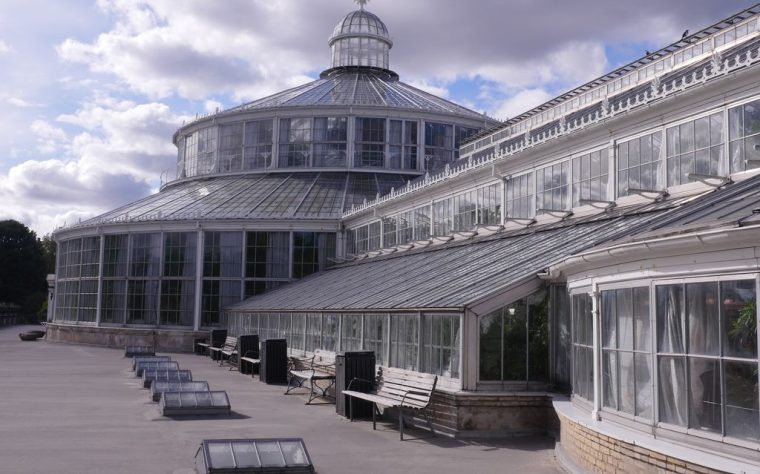 Copenhague. La serre (jardin botanique)