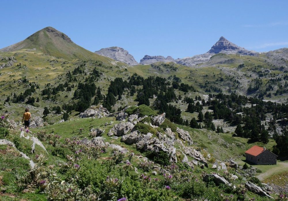 Le col de la Pierre Saint-Martin