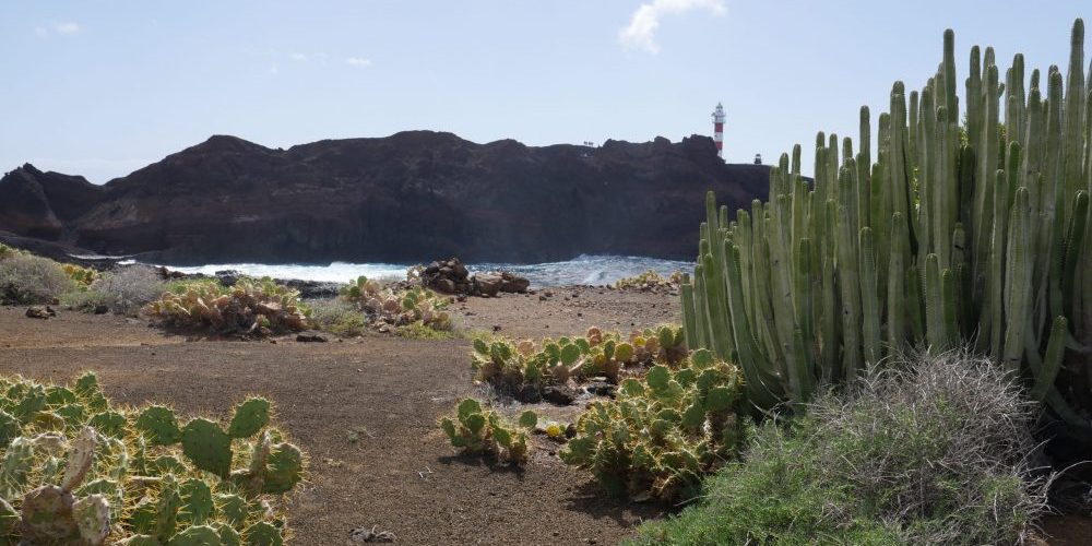 La punta del Teno