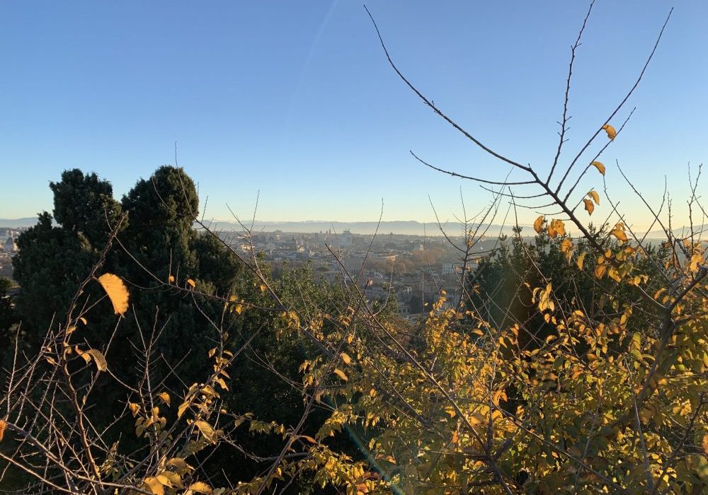 Vue sur Rome